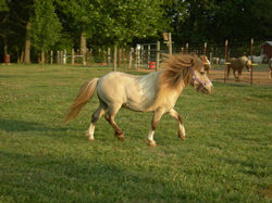 /images/bb_little_bit_spirited_250x187.jpg /images/bb_little_bit_spirited_250x187.jpg