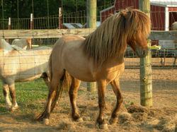 /images/little_bit_250x187.jpg
